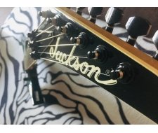 Jackson warrior WRMG